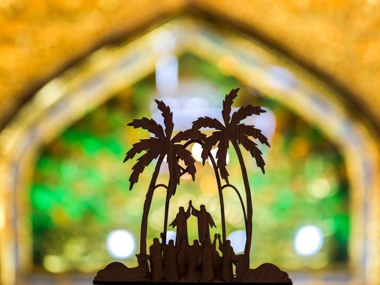 El Profeta Muhammad (P) designa a Ali como su sucesor en el evento de Ghadir, según la revelación divina.